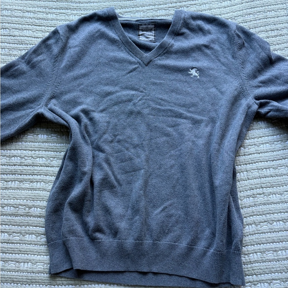 Express Charcoal V-Neck Sweater for Men